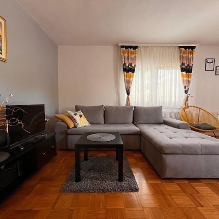 Apartment Gabriela Раковица Экстерьер фото